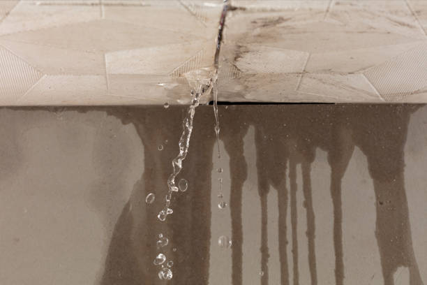Professional Burst Pipe Cleanup technician working in Haralson, GA